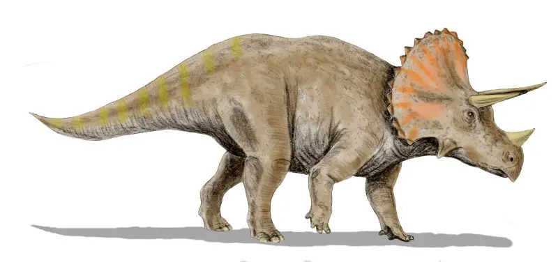 manualidades con encuadernadores dinosaurios - Cómo se llama el dinosaurio que tiene una corona en la cabeza