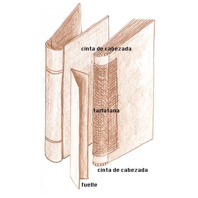 Ceja de los libros encuadernados: Un detalle estético y funcional - Cuál es la ceja de un libro ceja de los libros encuadernados - Cuál es la ceja de un libro