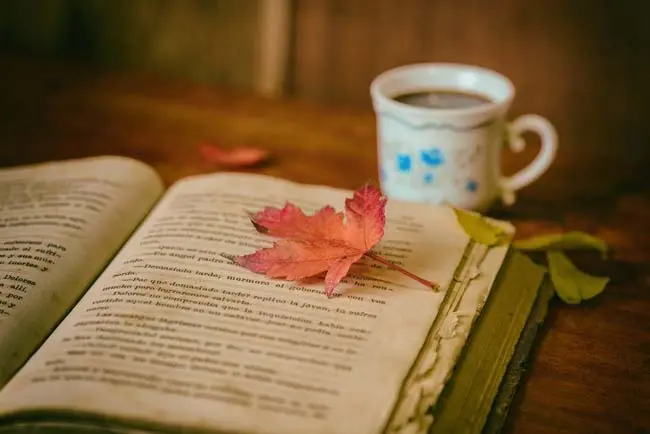 Partes de un libro: Conoce su estructura y contenido - Cuáles son las 10 partes del libro partes libro encuadernacion - Cuáles son las 10 partes del libro