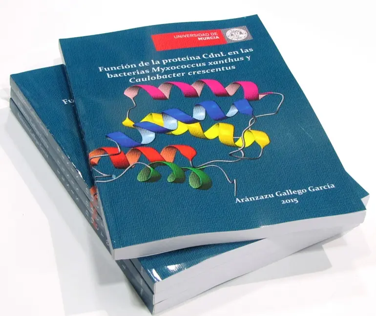 universidad de murcia servicio de encuadernacion tesis doctoral - Quién puede dirigir una tesis doctoral